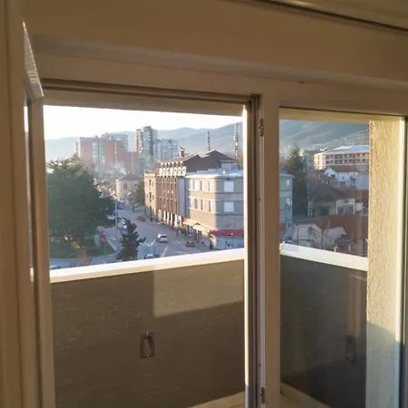 Apartment Stankovic *