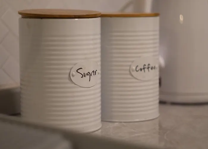 Stankovic * 브라네